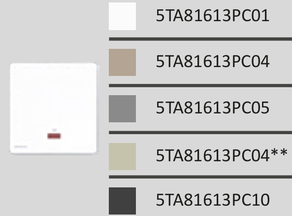 西門子 DELTA®arina 20A單位雙極開關(帶霓虹燈指示器)(永恆灰) 5TA81613PC05