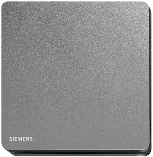 西門子 DELTA®arina 16AX 單位單控開關掣 (永恆灰) 5TA81123PC05