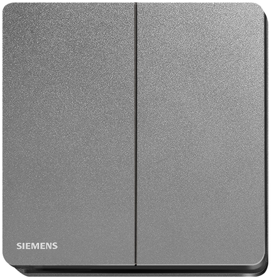 西門子 DELTA®arina 16AX 雙位單控開關掣 (永恆灰) 5TA81223PC05