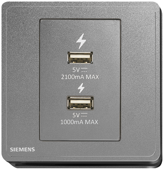 西門子 DELTA®arina 雙USB 智能充電插座(永恆灰) 5UH81871PC05