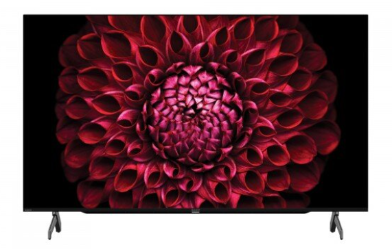 SHARP 50吋4K 超高清智能電視 4T-C50DL1X包座枱安裝 (原裝行貨)