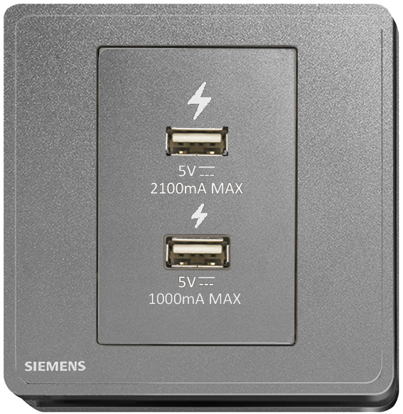 西門子 DELTA®arina 雙USB 智能充電插座(永恆灰)