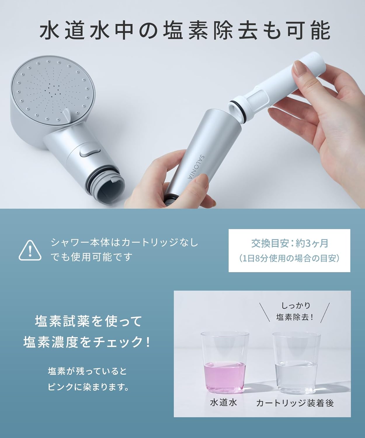 日本 Salonia Shower Head 花灑連炭酸清潔劑 ( 銀色/白色 )